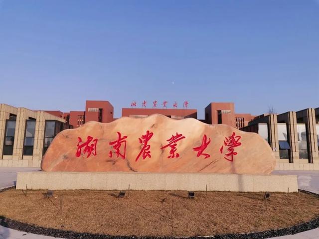 在读大专生可不可以报考自考本科