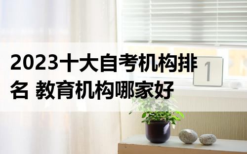 2023十大自考机构排名 教育机构哪家好