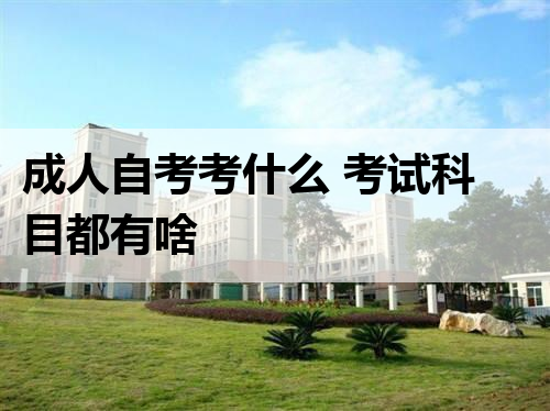 成人自考考什么 考试科目都有啥