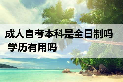 成人自考本科是全日制吗 学历有用吗