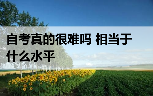 自考真的很难吗 相当于什么水平