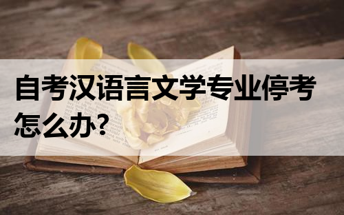 自考汉语言文学专业停考怎么办?