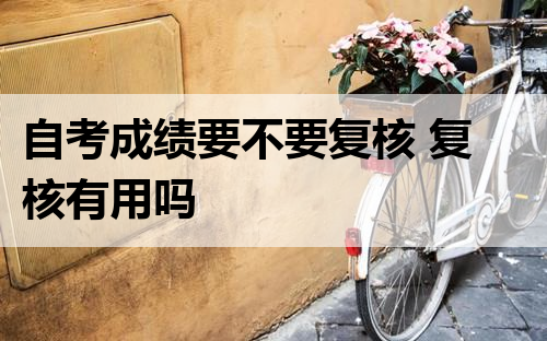 自考成绩要不要复核 复核有用吗