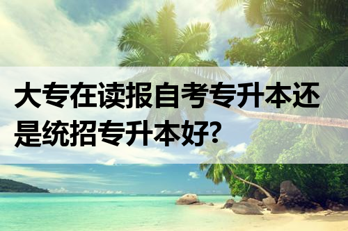 大专在读报自考专升本还是统招专升本好?