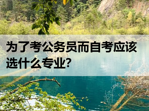 为了考公务员而自考应该选什么专业？