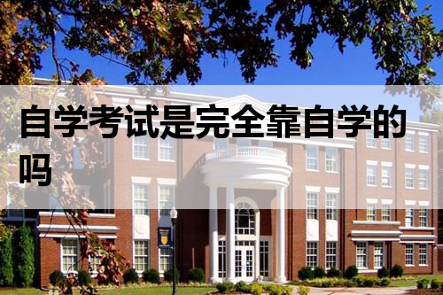 自学考试是完全靠自学的吗