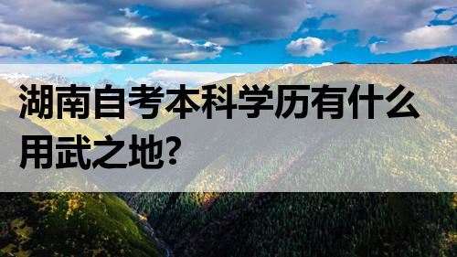 湖南自考本科学历有什么用武之地?