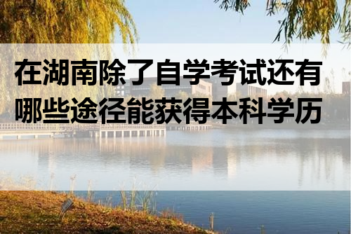 在湖南除了自学考试还有哪些途径能获得本科学历?