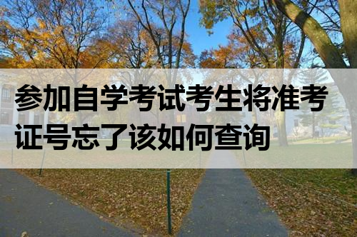 参加自学考试考生将准考证号忘了该如何查询