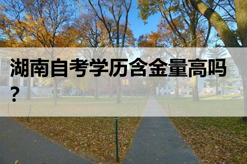 湖南自考学历含金量高吗？