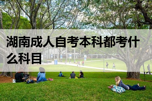 湖南成人自考本科都考什么科目