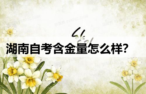 湖南自考含金量怎么样？