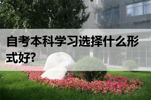 自考本科学习选择什么形式好?