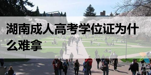 湖南成人高考学位证为什么难拿