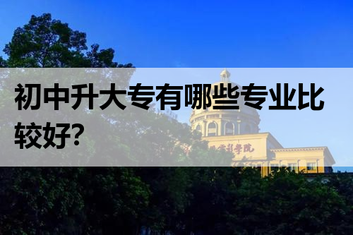 初中升大专有哪些专业比较好？