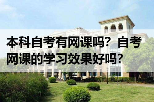 本科自考有网课吗？自考网课的学习效果好吗？