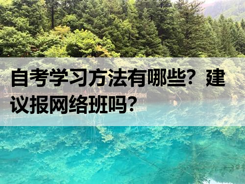 自考学习方法有哪些？建议报网络班吗？