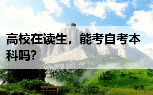 高校在读生，能考自考本科吗？