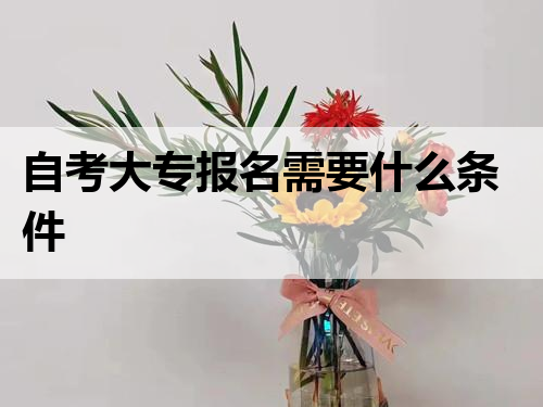 自考大专报名需要什么条件