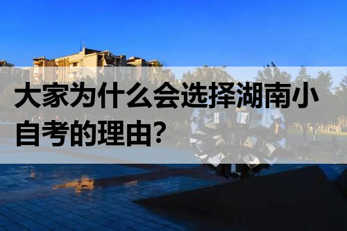 大家为什么会选择湖南小自考的理由？