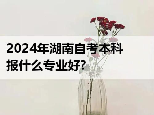 2024年湖南自考本科报什么专业好?