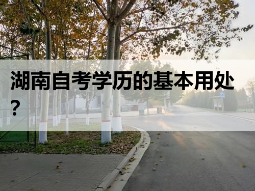 湖南自考学历的基本用处？