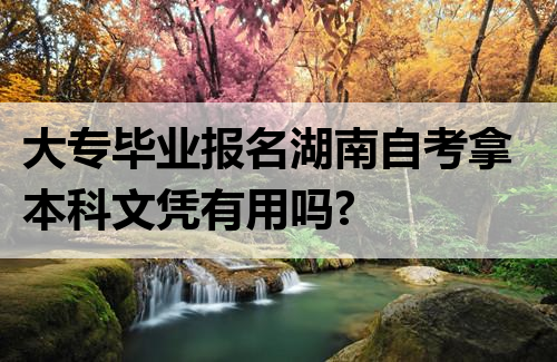 大专毕业报名湖南自考拿本科文凭有用吗?