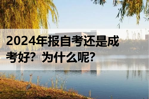 2024年报自考还是成考好？为什么呢？