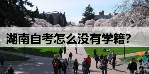 湖南自考怎么没有学籍？