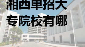 湘西单招大专院校有哪些