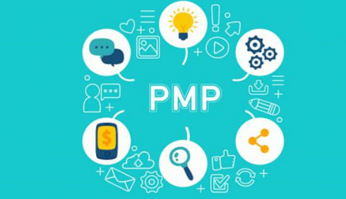 pmp