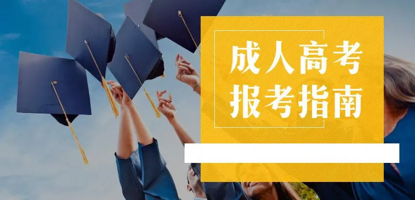 成考报两个专业