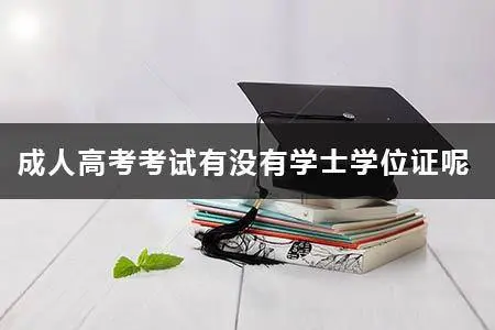 成考可以申请学士学位吗