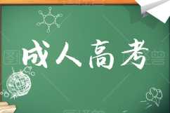 汉语言文学专业成人高考本科